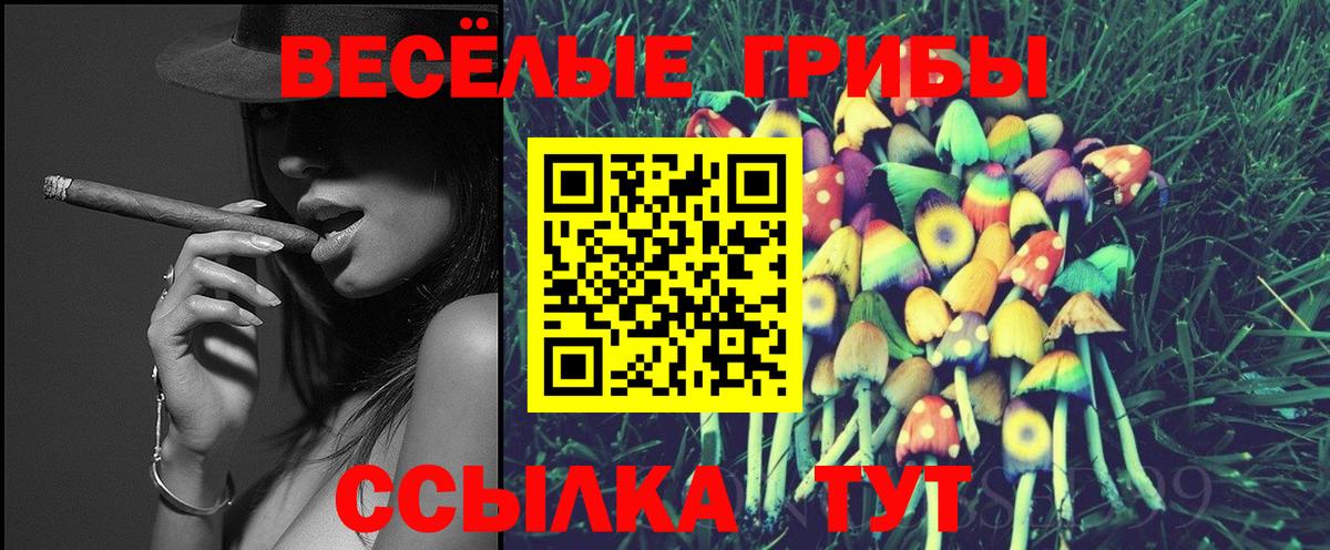 Тобольск  Галлюциногенные грибы Psilocybe  Вход с VPN  Галлюциногенные грибы Magic Shrooms 